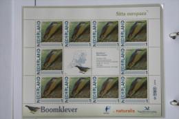 Persoonlijk Zegel Thema Birds Vogels Oiseaux Pájaro Sheet BOOMKLEVER  NUTHATCH 2011-2014 Nederland - Nuevos