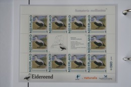 Persoonlijk Zegel Thema Birds Vogels Oiseaux Pájaro Sheet EIDEREEND EIDER 2011-2014 Nederland - Ungebraucht