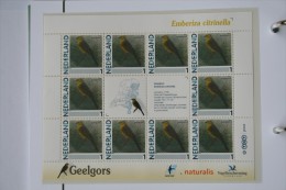 Persoonlijk Zegel Thema Birds Vogels Oiseaux Pájaro Sheet GEELGORS Yellow-hammer 2011-2014 Nederland - Ongebruikt