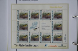 Persoonlijk Zegel Thema Birds Vogels Oiseaux Pájaro Sheet GELE KWIKSTAART YELLOW WAGTAIL 2011-2014 Nederland - Ongebruikt