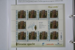 Persoonlijk Zegel Thema Birds Vogels Oiseaux Pájaro Sheet GROENE SPECHT Yaffle 2011-2014 Nederland - Ongebruikt