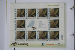 Persoonlijk Zegel Thema Birds Vogels Oiseaux Pájaro Sheet GROENLING GREENFINCH 2011-2014 Nederland - Ungebraucht