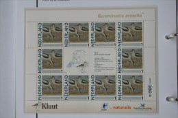 Persoonlijk Zegel Thema Birds Vogels Oiseaux Pájaro Sheet KLUUT Avocet 2011-2014 Nederland - Nuevos