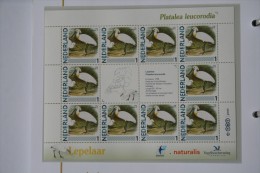 Persoonlijk Zegel Thema Birds Vogels Oiseaux Pájaro Sheet LEPELAAR Spoonbill 2011-2014 Nederland - Ungebraucht