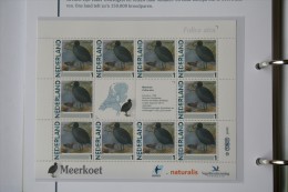 Persoonlijk Zegel Thema Birds Vogels Oiseaux Pájaro Sheet MEERKOET Coot 2011-2014 Nederland - Ungebraucht