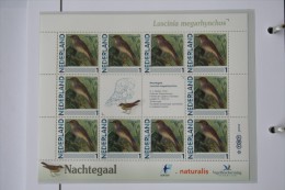 Persoonlijk Zegel Thema Birds Vogels Oiseaux Pájaro Sheet NACHTEGAAL NIGHTINGALE 2011-2014 Nederland - Ungebraucht