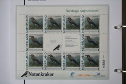 Persoonlijk Zegel Thema Birds Vogels Oiseaux Pájaro Sheet NOTENKRAKER NUTCRACKER 2011-2014 Nederland - Ongebruikt