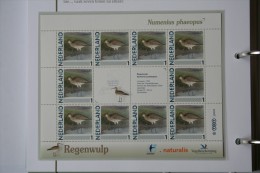 Persoonlijk Zegel Thema Birds Vogels Oiseaux Pájaro Sheet REGENWULP WHIMBREL 2011-2014 Nederland - Ungebraucht