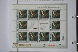 Persoonlijk Zegel Thema Birds Vogels Oiseaux Pájaro Sheet RIETZANGER Sedge Warbler 2011-2014 Nederland - Ongebruikt