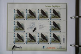Persoonlijk Zegel Thema Birds Vogels Oiseaux Pájaro Sheet ROEK ROOK 2011-2014 Nederland - Ungebraucht