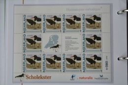 Persoonlijk Zegel Thema Birds Vogels Oiseaux Pájaro Sheet SCHOLEKSTER OYSTERCATCHER 2011-2014 Nederland - Ungebraucht