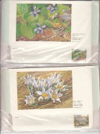Canada Set Of 12 8c Floral Domestogrammes "Postage/Poste" Below Stamp In Original PO Packaging (Unitrade #UD2a) - 1953-.... Regno Di Elizabeth II