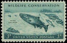 1956 USA Wildlife Conservation,King Salmon Stamp Sc#1079 Animal Fish River - Agua