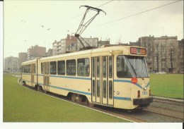 Bruxelles -- Voiture  De  Tramway  P. C. C. - Série  7800.    (2 Scans) - Public Transport (surface)