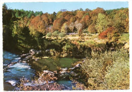 L'ESPEROU-VALLERAUGUE--1964-Paysage D'automne ,cpsm 15 X 10 N° 661  éd  Combier--cachet Refuge Aigoual - Valleraugue