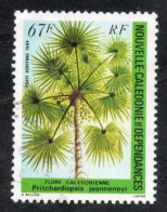 Nelle CALEDONIE : Flore Calédonienne - Pritchardiopsis Jeanneneyi : Palmier Rare Et Endémique -Arbre - Gebraucht