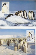 Chile 1992 Antarctica / Penguins 2 Postcards (with Reprint Of The Stamps) Unused (20676) - Other & Unclassified