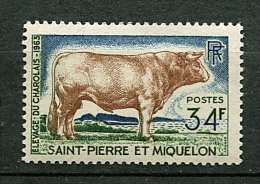 (cl.18 - P5) St Pierre Et Miquelon ** N° 375 (ref. Michel Au Dos) -  Bœuf Charolais - - Ungebraucht