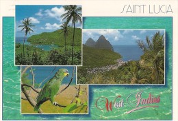 CPA-1990-ANTILLES-ST LUCIE-MULTIVUES-TBE - Sainte-Lucie