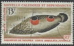 NEW CALEDONIA 13 FRANCS AQUARIUM FISH CORIS ANGUILATA MARINE LIFE SET OF 1 UNH 1964 SG388 READ DESCRIPTION !! - Usati