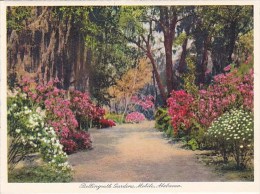 Path Bellingrath Gardens Mobile Alabama - Mobile