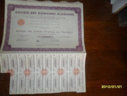 1964 - ACTION  2500  Frs (** SOCIETE Des DOMAINES ALGERIENS  )**++ COUPONS ) A ALGER - Afrika