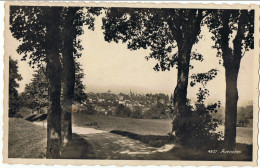 Avenches   Carte Photo      1948 - Avenches