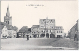 SENFTENBERG Lausitz I I Murzrsch Königl Privat Apotheke Droguen Handlung Anton Petrass Restauration Pferde Wagen 1907 - Senftenberg