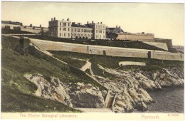 The Marine Biological Laboratory Plymouth Black & White Postcard - Stengel C1918 - Plymouth