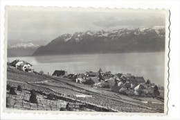 12275 -  Grandvaux Et Les Alpes - Grandvaux