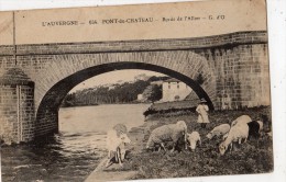 PONT-DU-CHATEAU BORDS DE L'ALLIER JEUNE BERGERE AVEC SES MOUTONS - Pont Du Chateau