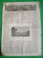 Lousã - Jornal "Diario Illustrado" Nº 661 De 16 De Julho De 1874. Coimbra. - Revues & Journaux