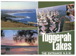 (201) Australia - NSW - Tuggerah Lakes - Northern Rivers
