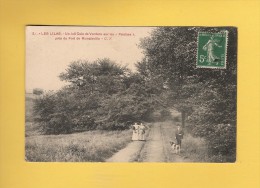 * CPA..dépt 93..LES  LILAS  : Un Joli Coin De Verdure Sur Les Falaises Près Du  Fort De Romainville..n°37 : Voir 2 Scans - Les Lilas