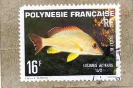POLYNESIE Fse : Poissons : Vivaneau à Queue Noire (Lutjanus Vlamingi)  - Faune Marine - Used Stamps