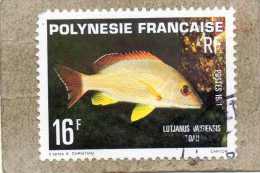 POLYNESIE Fse : Poissons : Vivaneau à Queue Noire (Lutjanus Vlamingi)  - Faune Marine - Gebraucht