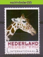 FG229 PERSOONLIJKE POSTZEGEL PERSONAL STAMP FAUNA ZOOGDIEREN GIRAF GIRAFFE MAMMALS WILDLIFE NEDERLAND PF/MNH - Girafes