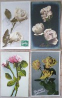 CP Lot 7x  Photo Fantaisie Theme Belle Rose Roses Tige Et Boutons Bouton Rosée VOIR PHOTOS - Collections & Lots