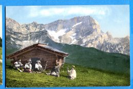 FR675, La Pause Devant Le Chalet, Alpes, Pâturage,R. F. B. 9187, Vacher, Berger, Alpage, Animée ,non Circulée - Berg