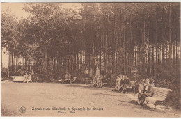 Sijsele, Sysseele, Sanatorium Elisabeth, Bosch, Bois (pk16486) - Damme
