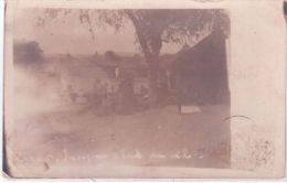 Carte-Photo - ZINDER - Boeufs Porteurs  - Daté De 1912 - Niger