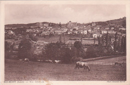 Carte Postale Ancienne De La Loire - Belmont - Vue Générale - Belmont De La Loire