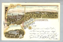 AK BE Evilard-Leubringen 1900-06-20Litho D.GuggenHeim#1657 - Evilard