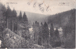 AK Schalkerteich Bei Festenburg - Der Oberharz - Feldpost - 1915 (14348) - Clausthal-Zellerfeld