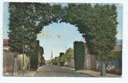 CPSM COLORISEE LUCON, ARC DE TRIOMPHE DE VERDURE RUE DU GENERAL DE GAULLE, Format 9 Cm Sur 14 Cm Environ, VENDEE 85 - Lucon