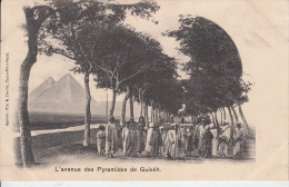 EGYPTE  - L'Avenue Des Pyramides De Guiséh   PRIX FIIXE - Gizeh