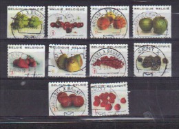 Volledig Boekje Fruit Uit 2007 (OBP 3685 T/m 3694) - Autres & Non Classés