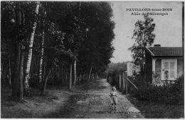 Pavillons Sous Bois Seine Saint Denis Fillette Pavillons Allée Mésanges 1919 état Superbe - Les Pavillons Sous Bois