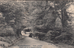 Schaarbeek, Schaerbeek, Vallée Josaphat, Chemin Près De La Fontaine D´Amour (pk17767) - Schaarbeek - Schaerbeek