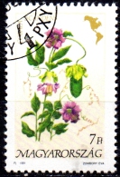 HUNGARY 1991 Flowers Of The Americas - 7fo. - Cup And Saucer Flower  FU - Used Stamps